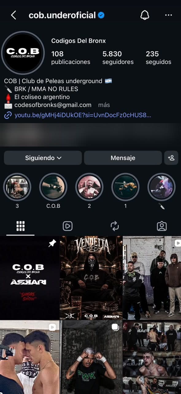 El perfil de Instagram de C.O.B, @cob.underoficial, en un teléfono